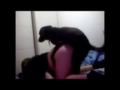 Big ass teen beastiality sex with dog